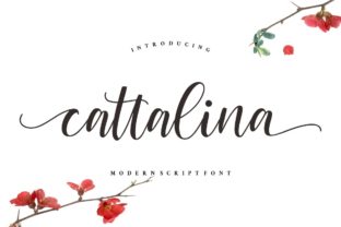 Cattalina: A Modern Handwritten Font for Branding and Design