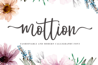 Font Choice That Matters: Why Mottion Works for Modern Web Design