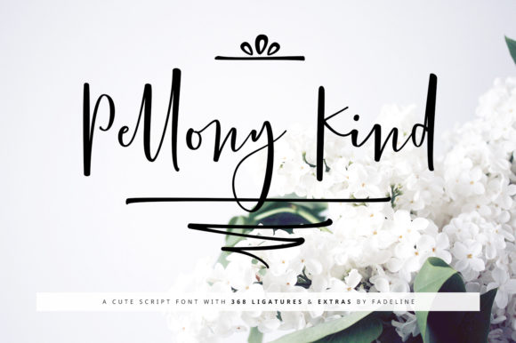 Pellony Kind: A Font That Adds Personality to Your Campaigns